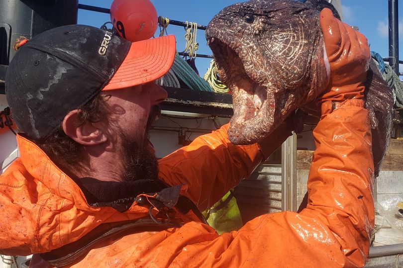 Nate Iszac, 39 tuổi, phấn khích khi cầm trên tay "quái vật biển ngoài đời thực".
