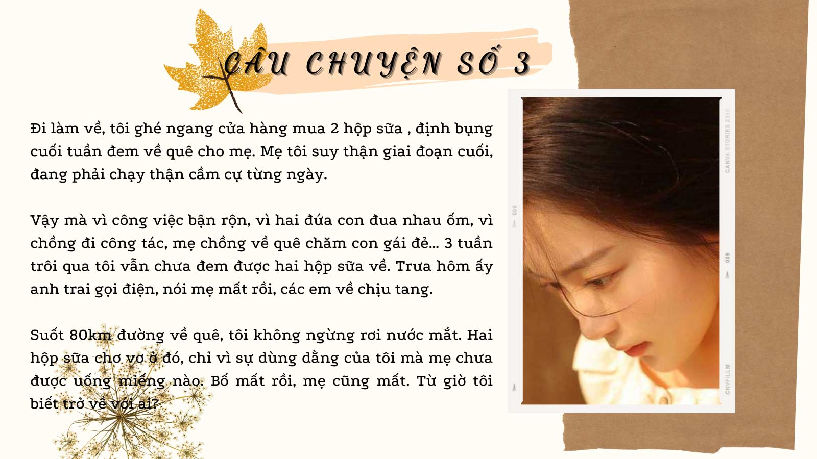 Cả đời này, ta còn bao nhiêu ngày bên cha mẹ? - 13