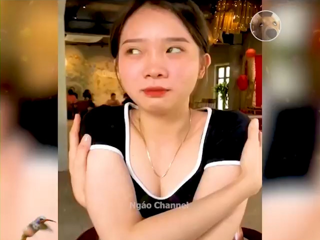 Video Clip Cười - Không nhịn nổi cười với những "cú lừa" đỉnh cao nhất trên đời