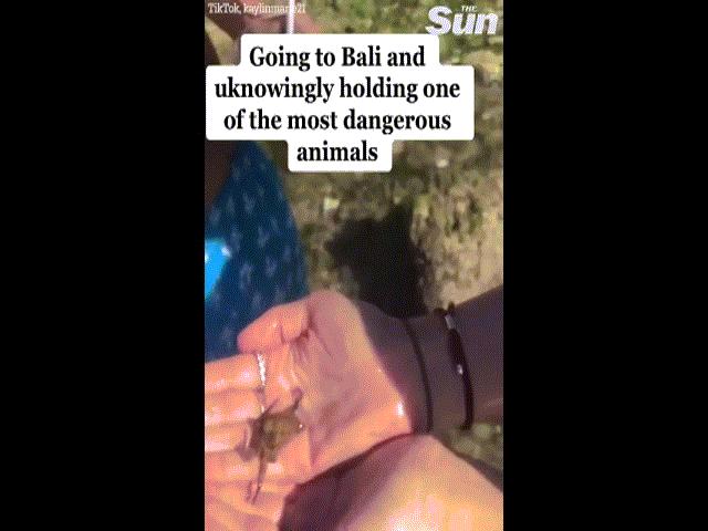 Thế giới - Video: Người phụ nữ cầm trên tay “tử thần” có thể giết chết 26 người mà không hay biết