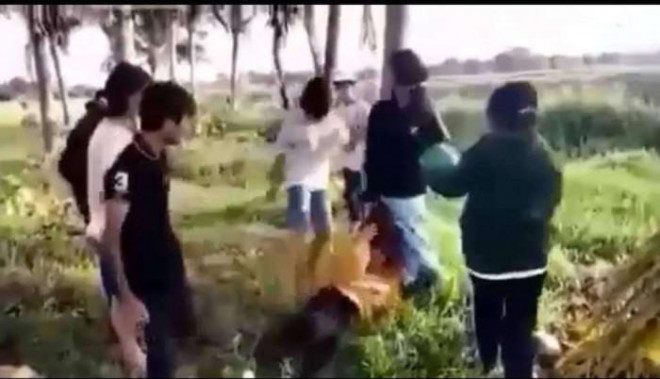 Ảnh cắt từ clip.