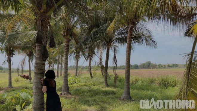 Bé gái tham gia đánh cô gái chỉ nơi xảy ra vụ việc.