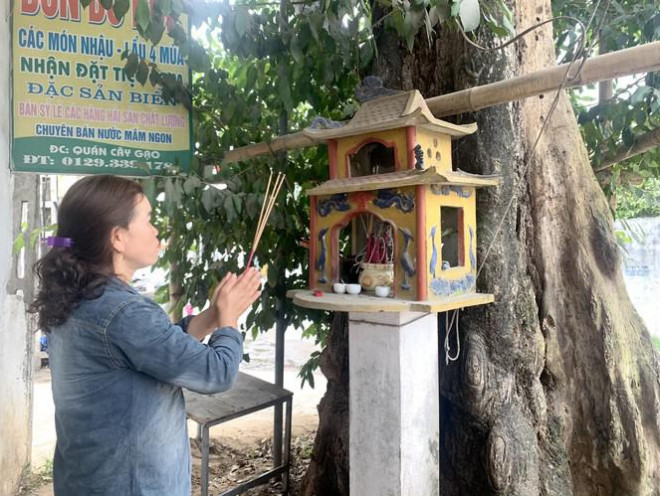 Từ bao đời nay, người dân Diễn Kim luôn coi cây gạo như nét văn hóa tâm linh của làng