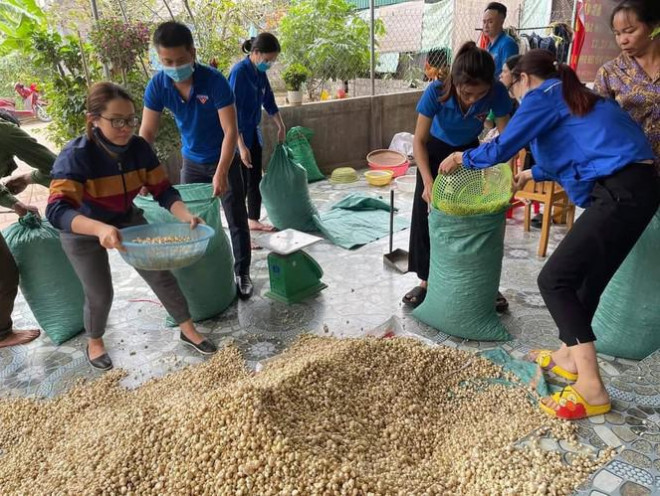 &nbsp; Các bạn đoàn viên thanh niên giúp người dân đóng hành.