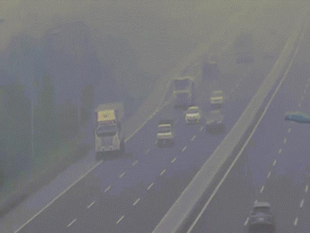 Tin tức trong ngày - Tài xế xe tải đi lùi trên cao tốc Hà Nội - Hải Phòng bị phạt tiền, tước bằng lái