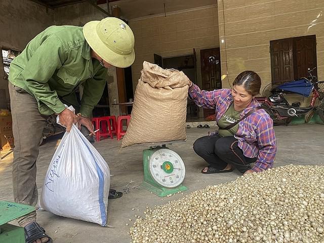 Đã có hơn 10 tấn hành tăm được giải cứu.