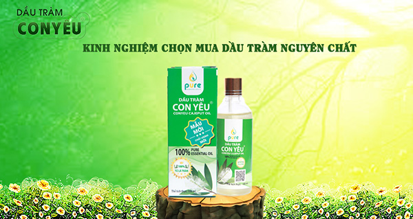 Kinh nghiệm chọn mua dầu tràm cho bé - 1