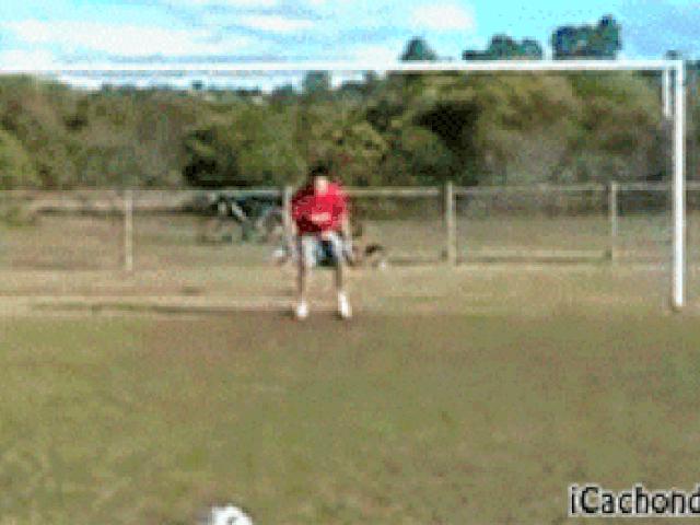 Tranh vui - Bật cười với những tình huống "dở khóc dở cười" ở trong thể thao