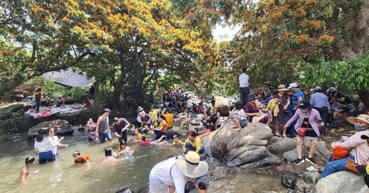 Du lịch - Hoa trang rừng phủ kín suối Tà Má