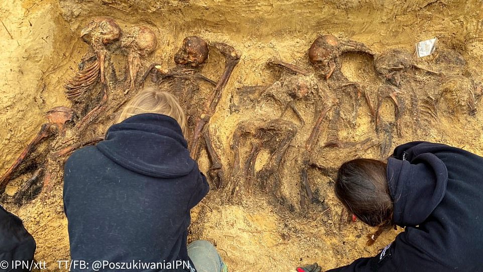 Các nhà nghiên cứu tìm thấy ít nhất 29 bộ xương trong hố chôn tập thể ở ngoại ô thủ đô Warsaw, Ba Lan.