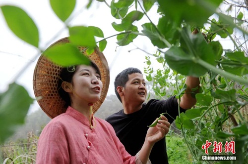 Du học về, cặp đôi quyết làm nông dân để gây dựng cuộc sống nhiều người thèm muốn - 1