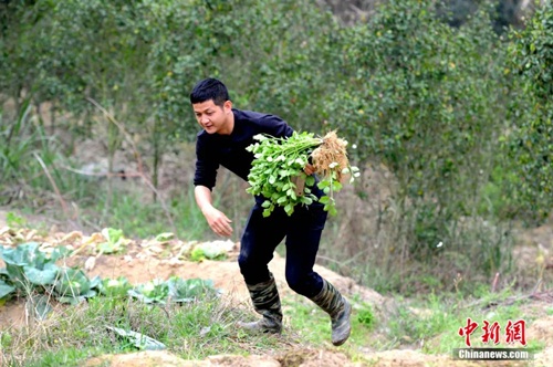 Du học về, cặp đôi quyết làm nông dân để gây dựng cuộc sống nhiều người thèm muốn - 3