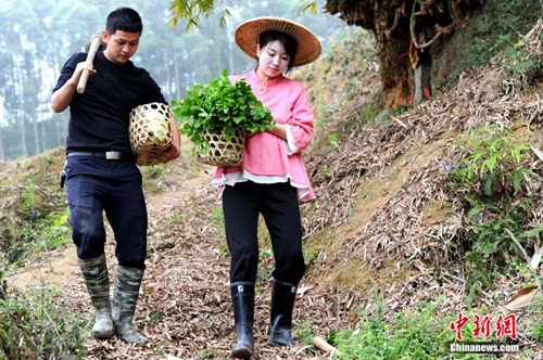 Du học về, cặp đôi quyết làm nông dân để gây dựng cuộc sống nhiều người thèm muốn - 7