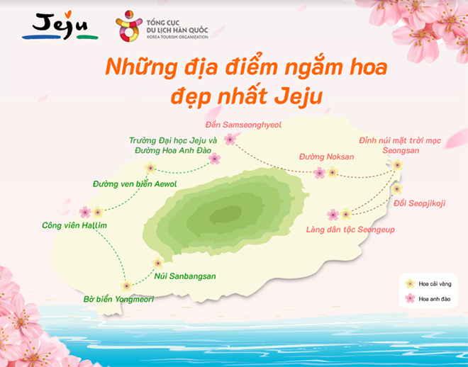Bản đồ hoa tại Jeju - cảm hứng của các cung đường trong cuộc thi