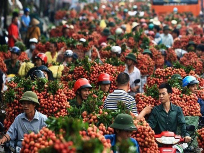 Trung Quốc tăng mua trở lại trái cây Việt Nam - 1
