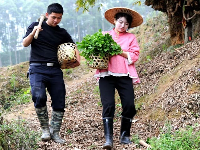 Bạn trẻ - Cuộc sống - Du học về, cặp đôi quyết làm nông dân để gây dựng cuộc sống nhiều người thèm muốn