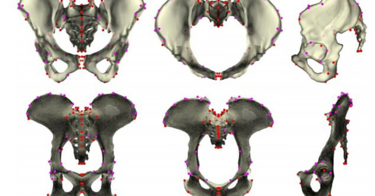 Thế giới - Bằng chứng sốc cho thấy tổ tiên loài người… đẻ trứng