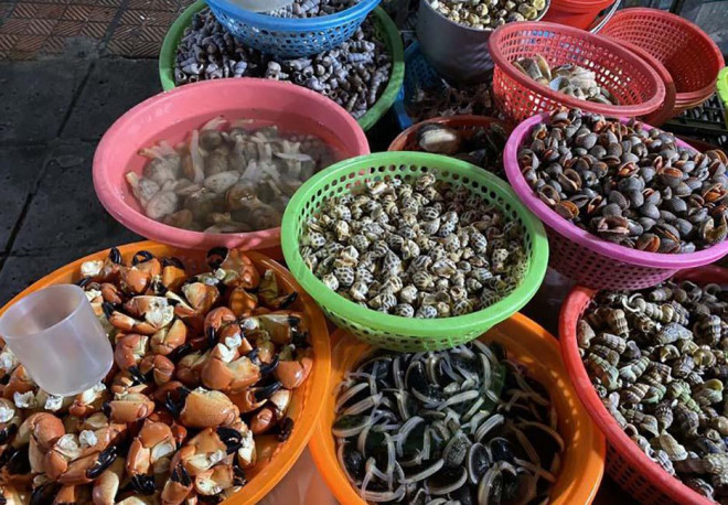 Nếu bạn đi du lịch Hạ Long thì cũng đừng quên món ăn về ốc. Ở Hạ Long cũng nổi tiếng với rất nhiều loại ốc biển vừa ngon vừa rẻ. 