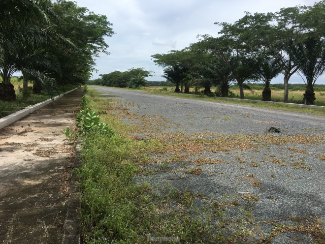 Nhiều chuyên gia cho rằng, tương lai
của thị trường bất động sản Nhơn Trạch phụ thuộc rất lớn vào việc
xây cầu Cát Lái.