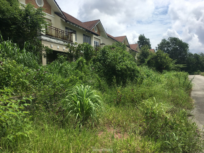 Phải xây được cây cầu này thì mới cứu
được Nhơn Trạch thoát khỏi ám ảnh đô thị “ma” như hiện tại. Còn với
hạ tầng hiện nay thì chưa nói trước được gì.