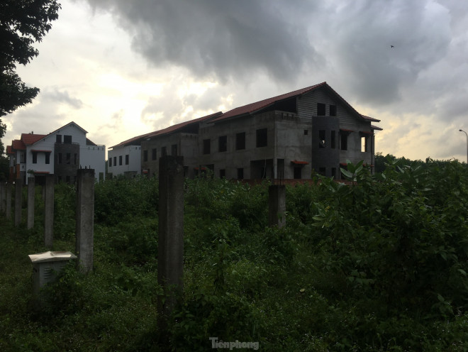 Cho đến nay, việc xây cầu Cát Lái chỉ
là câu chuyện mượn cớ tạo “sóng” hoặc thoát hàng của dân đầu cơ,
còn vẫn chưa có gì cụ thể, thời điểm khởi công, hình thức đầu
tư…