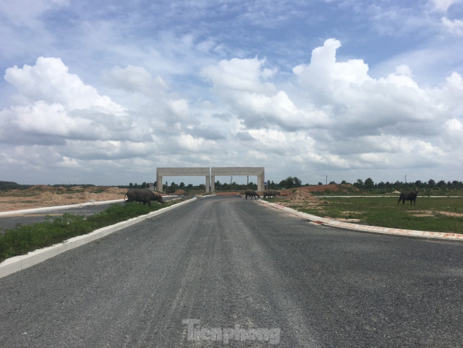 Làm nơi chăn thả trâu bò.