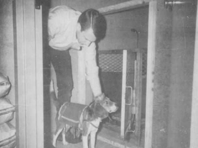 Thế giới - Hé lộ thí nghiệm hãi hùng của CIA cách đây 50 năm