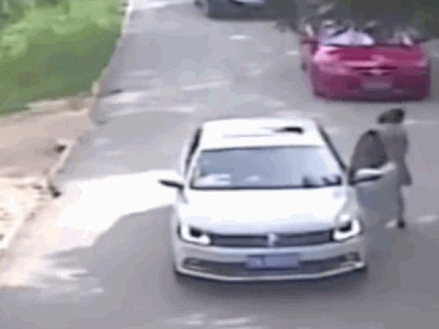 Media - Clip: Hổ dữ lao ra giữa đường tấn công cô gái rồi ngoạm người lôi đi