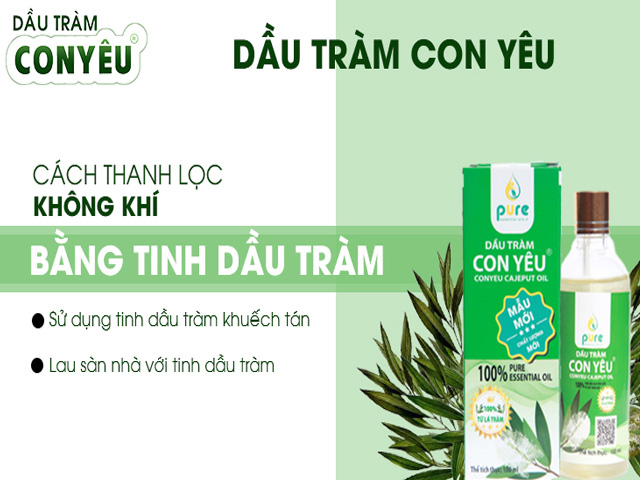 5 mẹo nhỏ lọc không khí tại gia đình cực nhanh và dễ áp dụng