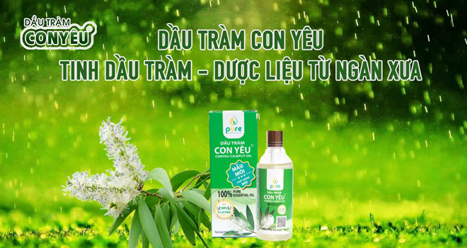 Sự khác biệt giữa mùi hương tinh dầu tràm và nước hoa là gì? - 1