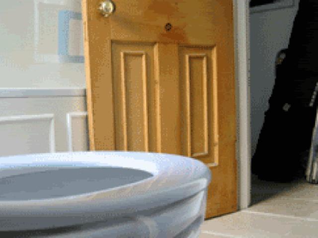 Tranh vui - "Không ngậm được mồm" với những tình huống oái oăm