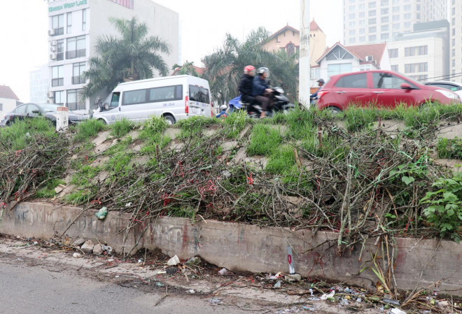 Không một tiểu thương nào có ý thức dọn dẹp trước khi rời đi.