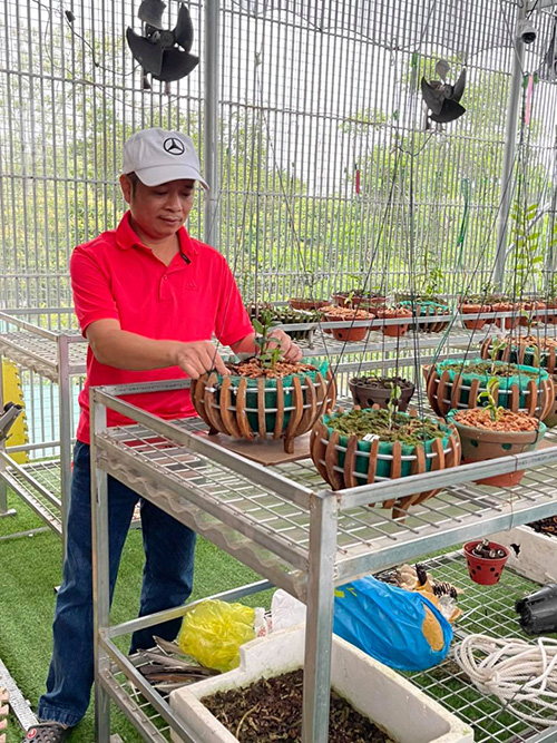 Thầy giáo trẻ Tuấn Bùi và hành trình chinh phục loài lan vương giả - 1