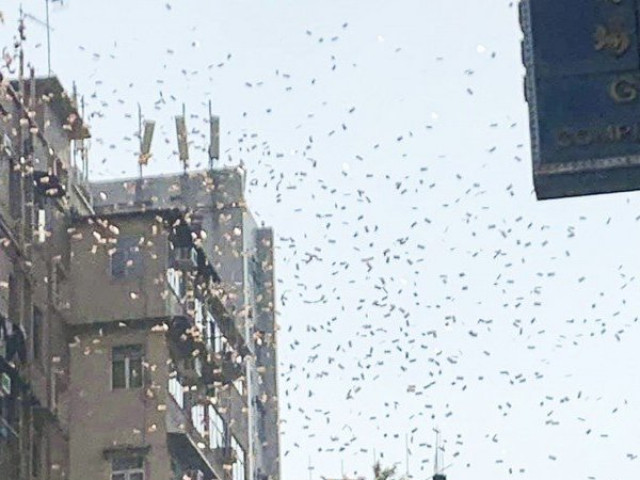 Kinh doanh - Lý do bất ngờ khiến người đàn ông ném gần 800 USD qua cửa sổ tầng 13