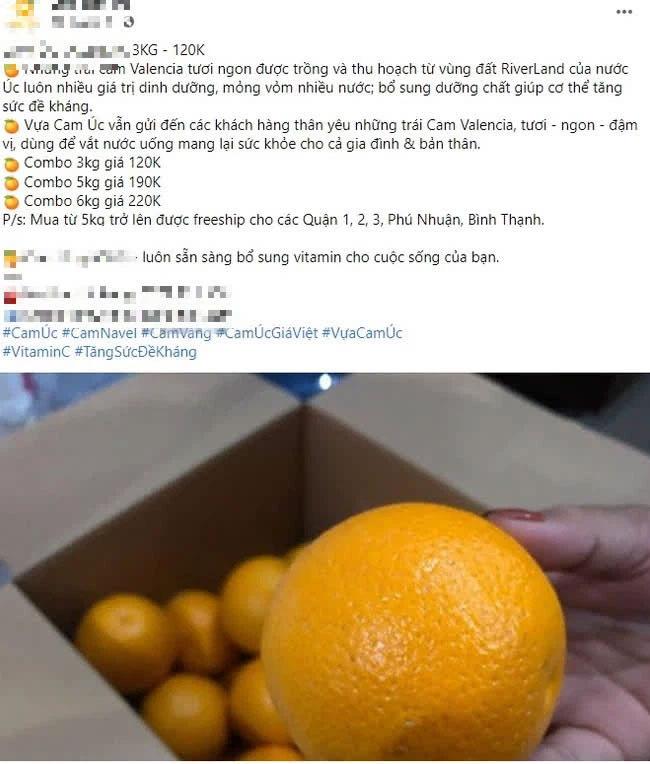 Gần đây trên chợ mạng rao bán cam Australia với giá siêu rẻ, dao động 12.000 - 20.000 đồng/kg. Người bán đều khẳng định đây là cam Australia 100% nhập khẩu.