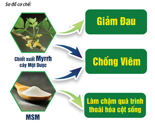 Tin vui cho người bị đau nhức xương khớp, thoái hóa cột sống khi giãn cách! - 4