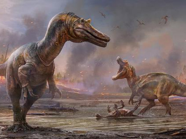 Thế giới - Phát hiện 6 loài khủng long cùng hơn 500 loài mới trong năm 2021