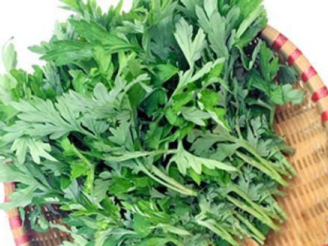 Sức khỏe đời sống - Rau ngải cứu rất tốt nhưng có thể là "thuốc độc" với một số người