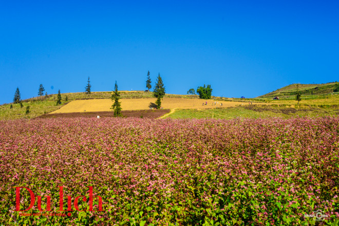 Miền thảo nguyên mênh mông chạm đến tầng trời xanh ngắt buổi chiều đông, nắng ươm vàng màu mật