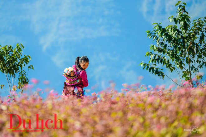 Chợt văng vẳng đâu đó, "Nhà em ở lưng đồi, nơi chim rừng thánh thót, bầu trời xanh dịu ngọt, gió tràn về mênh mang..."