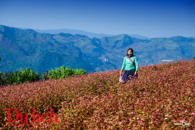 "Nhà em giữa nắng vàng, con suối tràn bờ đá, hương rừng thơm mùa hạ, đường chiều về quanh co..." (Nhà em ở lưng đồi - sáng tác Đức Trịnh, thơ Lê Tự Minh)