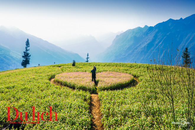 Lên tới đỉnh đồi là khoảnh hoa tam giác mạch hình trái tim ấm áp tình, bà con vùng cao đón chào du khách 