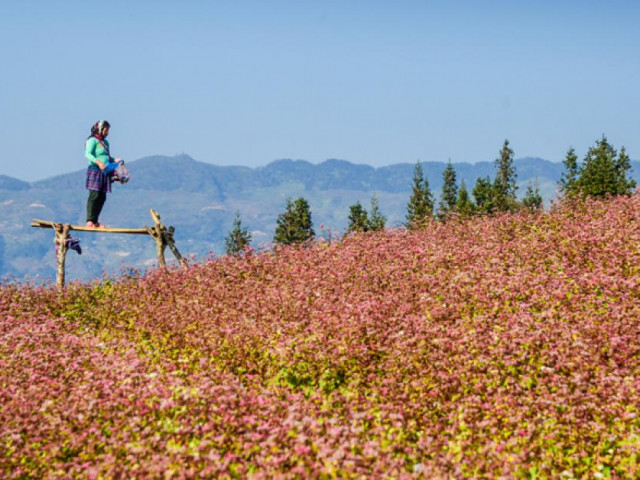 Du lịch - Ngất ngây miền thảo nguyên biên viễn Suôi Thầu