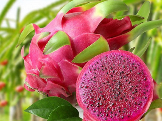 Sức khỏe đời sống - Lợi ích bất ngờ từ loại trái cây đang được "giải cứu" giá rẻ như cho