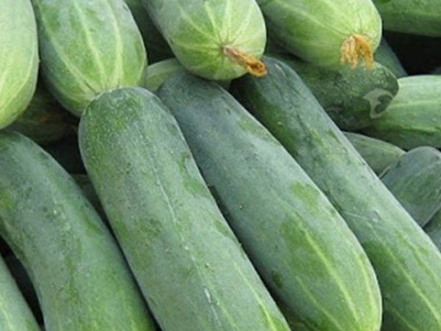 Ẩm thực - 5 dấu hiệu giúp chị em nhận biết dưa chuột có tẩm hóa chất