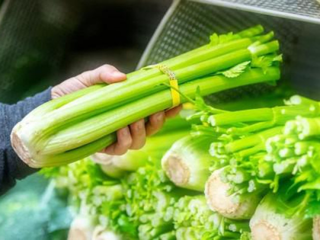 Thị trường - Tiêu dùng - Cần tây bị phun hoá chất để lớn nhanh, bắt mắt, khi bán ở chợ sẽ có đặc điểm bất thường này ở thân cây