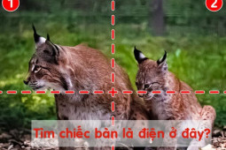 Bạn trẻ - Cuộc sống - Phải thật tinh mắt bạn mới tìm thấy 'bí mật' này