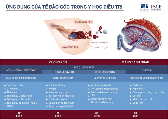 Ứng dụng điều trị bệnh của tế bào gốc