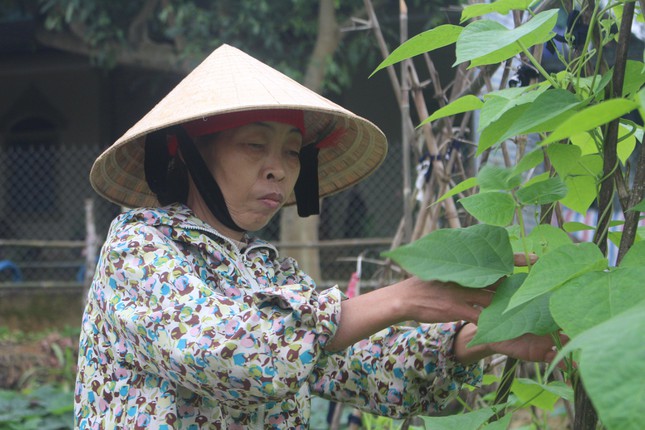 Bà Phan Thị Hoa - Mẹ kế suốt 15 năm chăm lo 8 người con của chồng