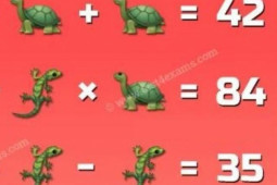 Câu đố rùa và khủng long thách thức cộng đồng mạng